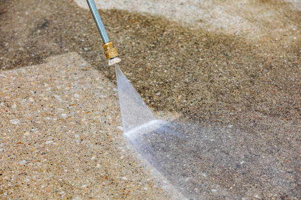 Best Pre-Holiday Cleaning  in Edinburg, TX
