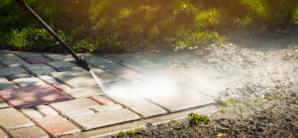 Best Residential House Exterior Washing  in Edinburg, TX